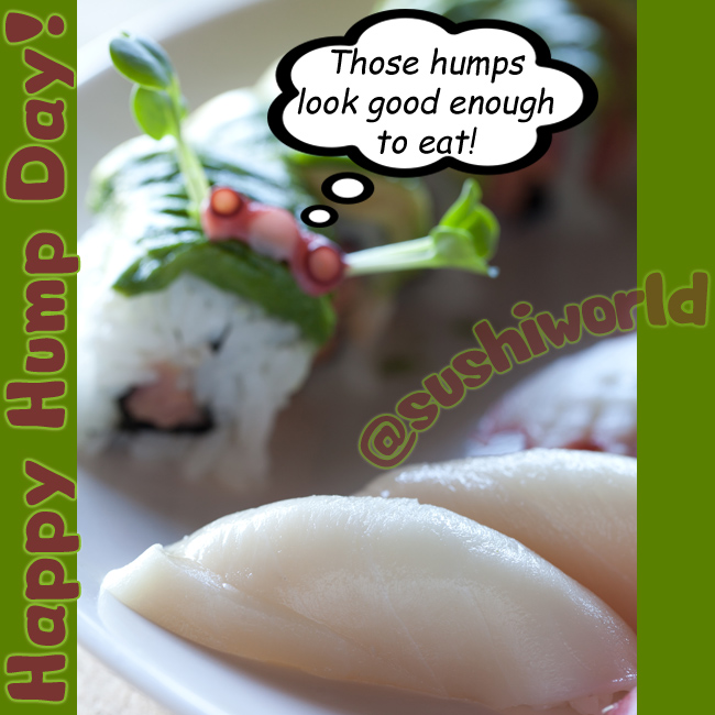 Happy Hump Day Sexy Sushi Humps Orange County Sushi World Cypress OC Anaheim Garden Grove Stanton