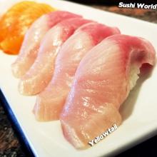 Yellowtail Happy Hour Orange County OC Sushi World Nigiri Best Deal