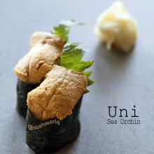 Uni Sea Urchin Decadent Rich Buttery Delicious Orange County Best OC Sushi World